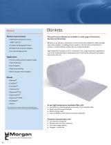 Thermal Ceramics Solutions - 10