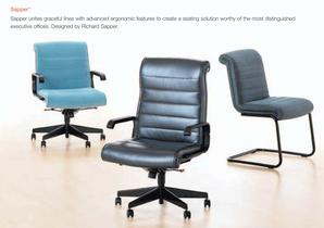 Ergonomic Seatings - 12