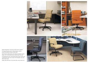 Ergonomic Seatings - 13