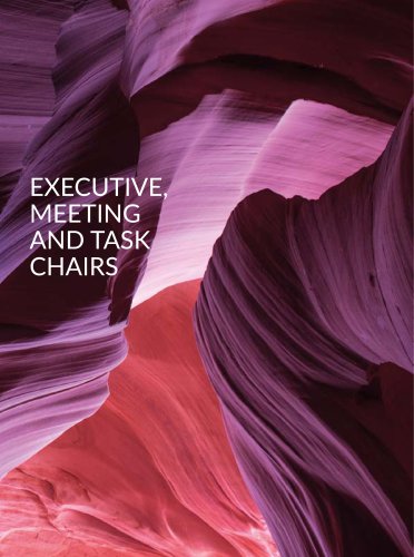 Executive, Meeting and Task Chairs