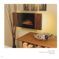 FLAMERITE FIRE-10