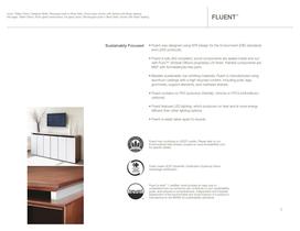 Fluent - 2