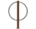 Paraciclos
