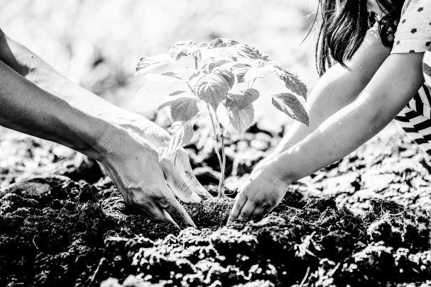 AROUNDtheTREE Design Photo 1
