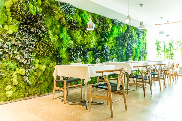 Greenarea Photo 7