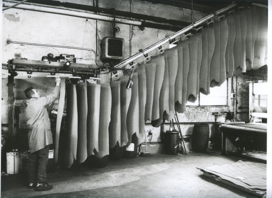 ENRICO PELLIZZONI Photo 6