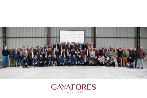 GAYAFORES Photo 6