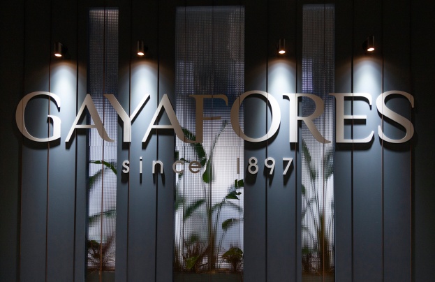 GAYAFORES Photo 8