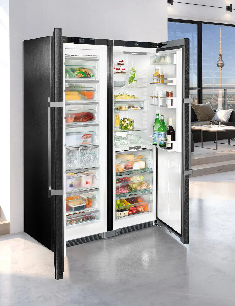 Refrigerador de 2 portas - SBSBS 8673 PREMIUM BIOFRESH NOFROST