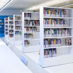 estante profissional para biblioteca 1