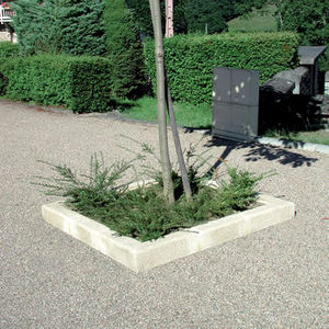 borda de árvore