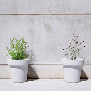 vaso de jardim em concreto