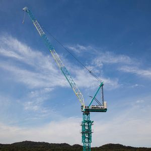 guindaste com lança elevatória