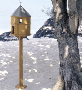 casa para pássaros em teca 1