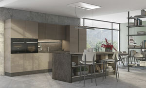 cozinha contemporânea / em madeira / com ilha / lacada