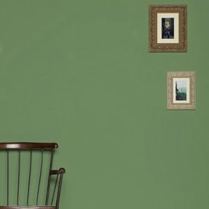 tinta decorativa 1