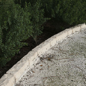 borda de jardim