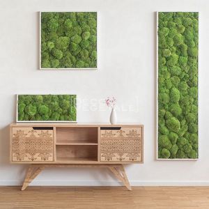 quadro vivo estabilizado