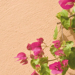 tinta decorativa