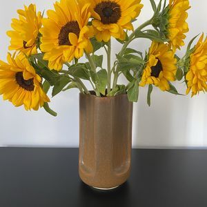 vaso contemporâneo 1