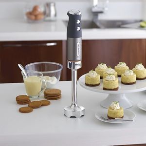 mixer varinha