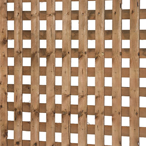 treliça de jardim para fachada