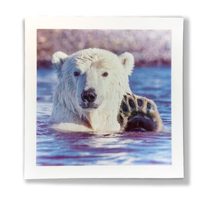 quadro decorativo com animais
