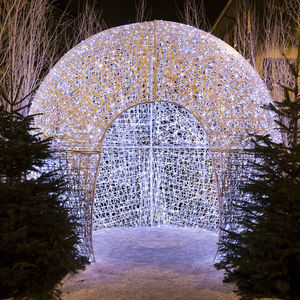 luz de Natal de LED 1