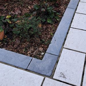 guia de jardim 1