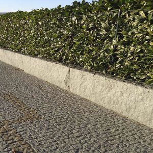 guia de jardim