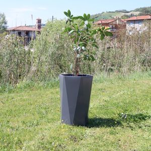 vaso de jardim em aço inoxidável 1