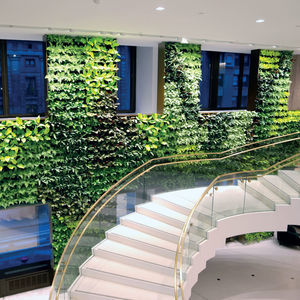 parede verde de plantas naturais