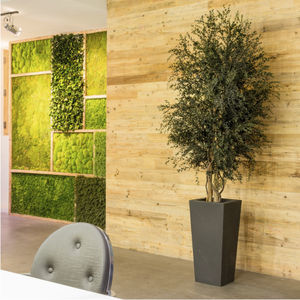 planta ornamental estabilizada
