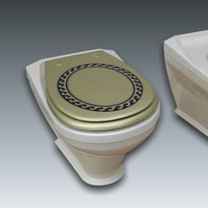 vaso sanitário monobloco