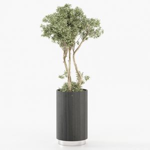 vaso de jardim em madeira de eucalipto