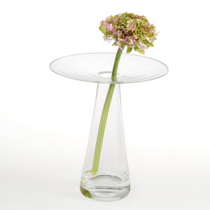 vaso contemporâneo