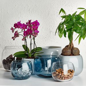 vaso de jardim em vidro 1