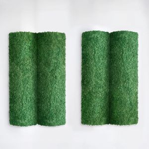 parede verde estabilizada 1
