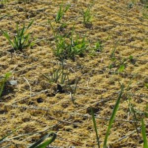 geogrelha para controle de erosão
