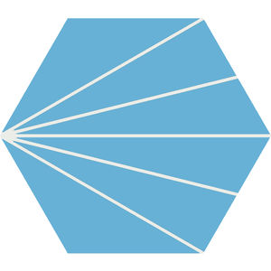 ladrilhos hidráulicos hexagonais