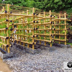 tutor para plantas em bambu