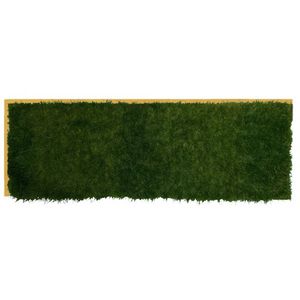 parede verde estabilizada