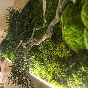 parede verde estabilizada 1