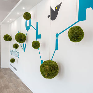 planta ornamental estabilizada 1