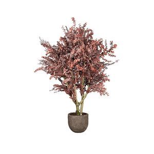 planta ornamental estabilizada