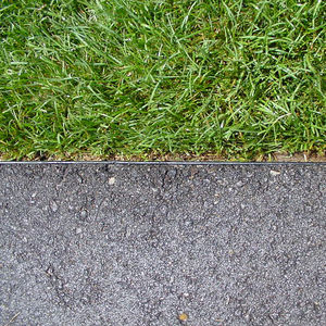 guia de jardim
