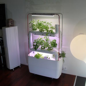 kit para parede verde com sistema de irrigação integrado