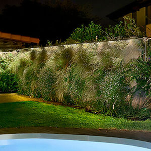 parede verde estabilizada