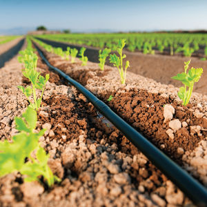 mangueira de irrigação