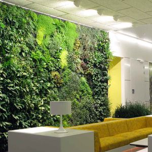 parede verde de plantas naturais